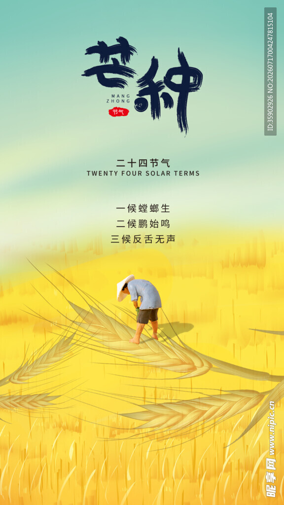 麦田中的孤独身影