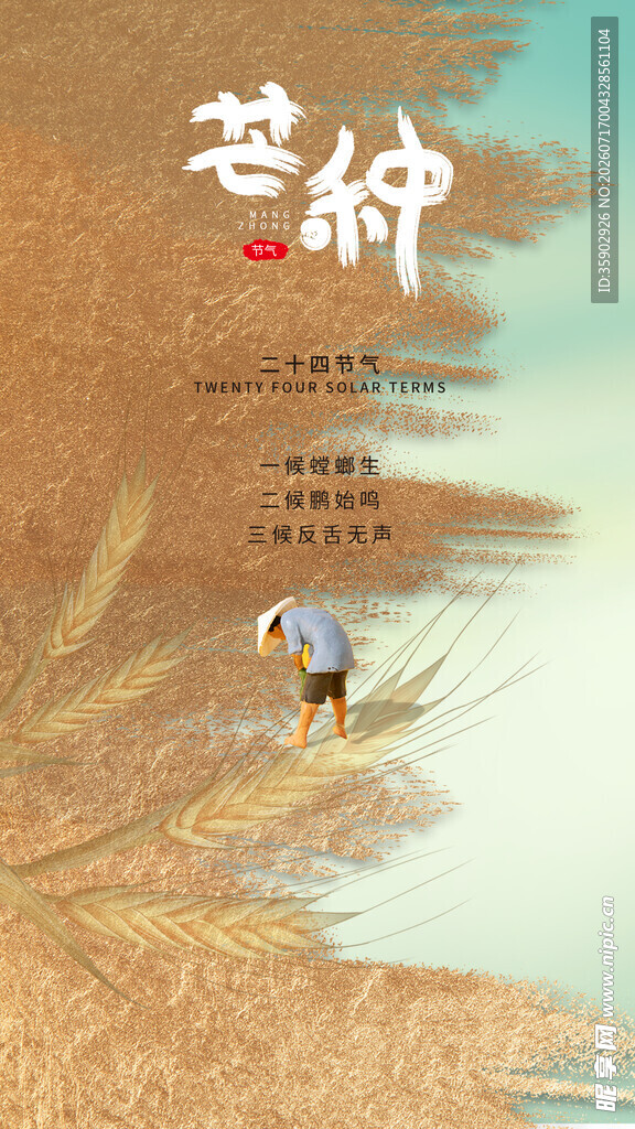 芒种时节田间劳作景象