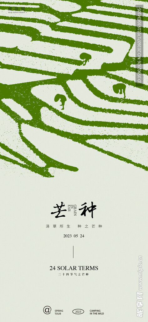 芒种叶脉间的静谧时光