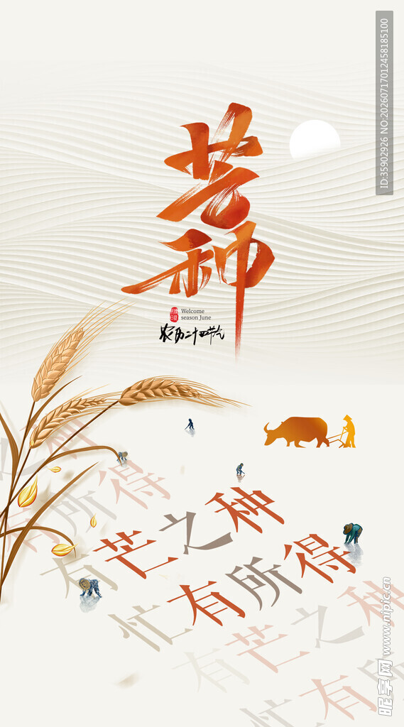 芒种琴瑟和鸣共赴美好时光