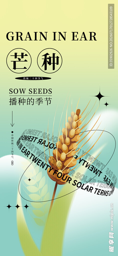 芒种时节麦穗与节气元素