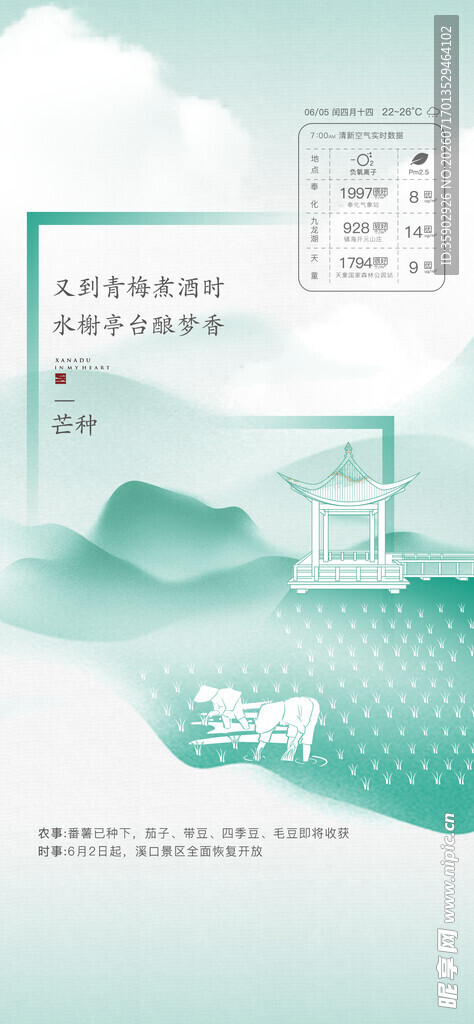 芒种海报
