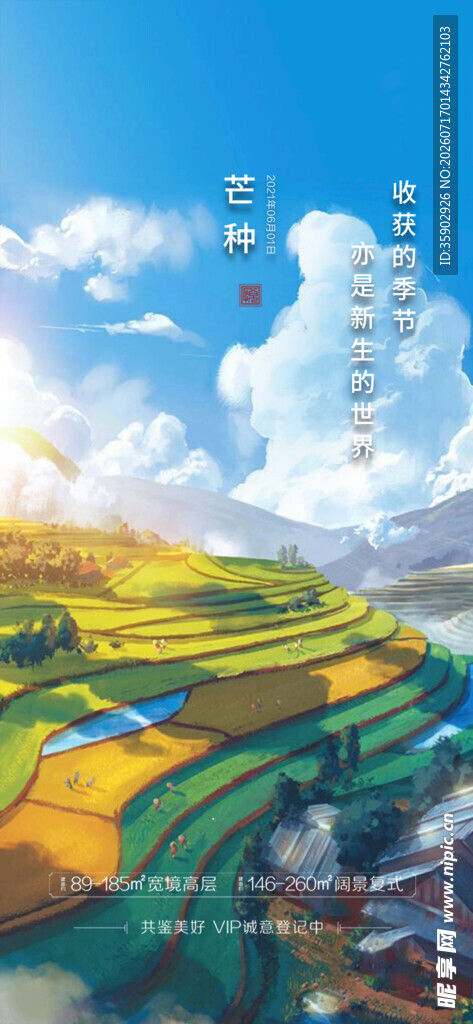 美丽梯田风光