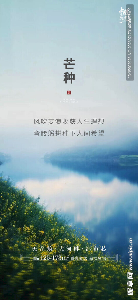 山间云海中的葱郁绿意