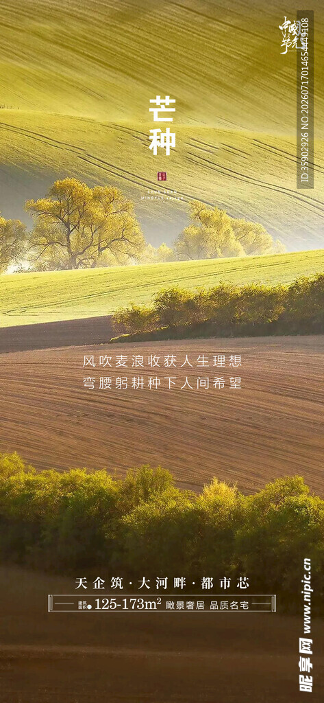 金色田野中的十字架景观