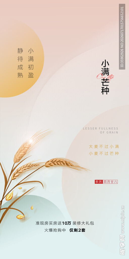 简约风金色麦穗节气海报