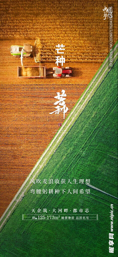 芒种海报模版