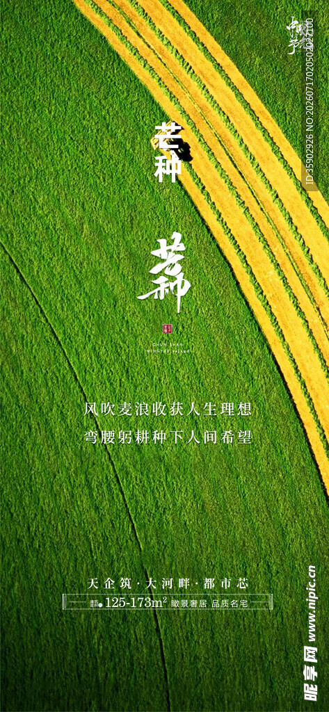 青春主题绿色背景海报