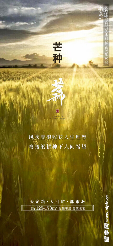 麦田中独行者的静谧时刻