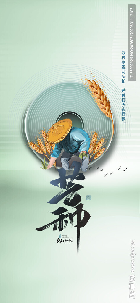 芒种海报模版