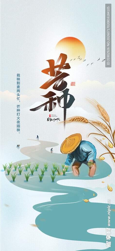 芒种时节田园农忙景象