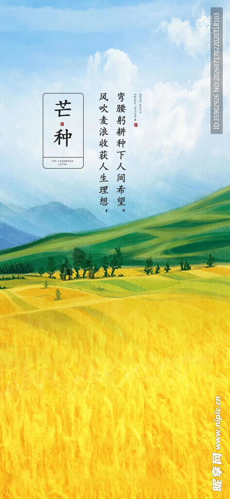 金色田野风光