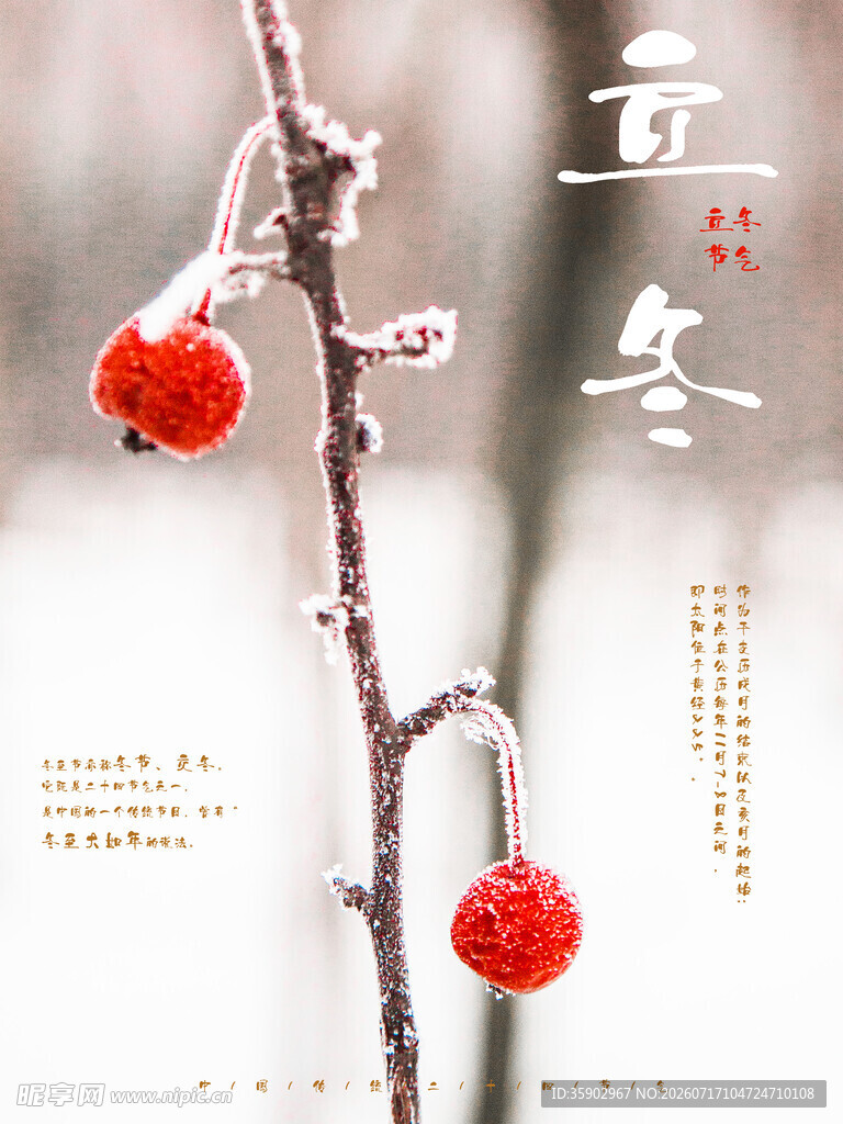 立冬时节红果覆霜景