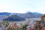 壮丽火山景观多彩植被点缀