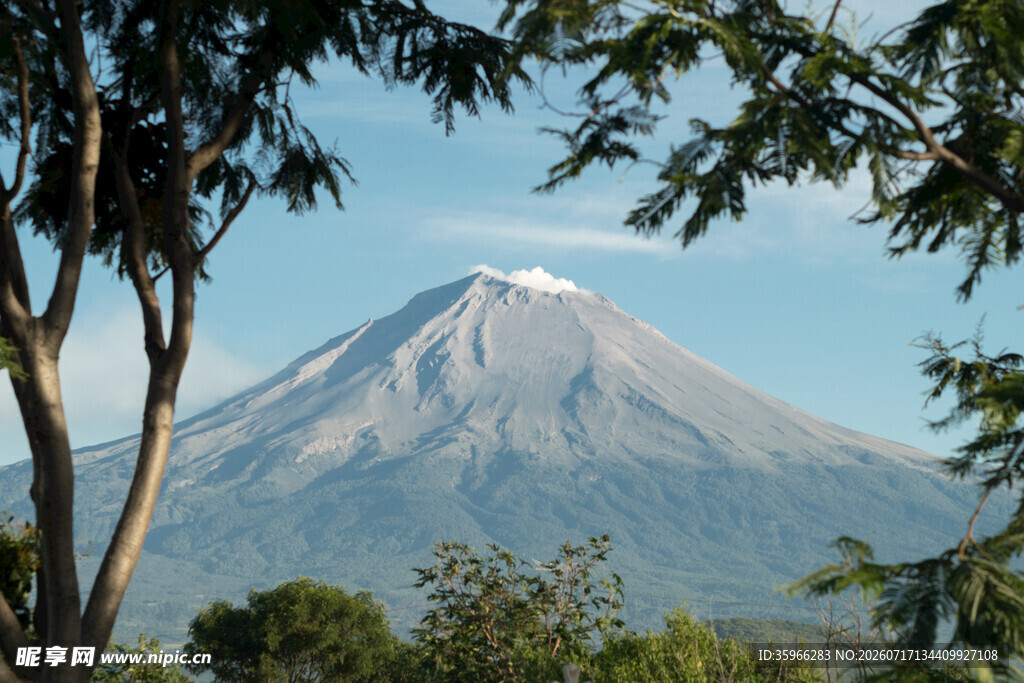 远处巍峨火山与近处树木
