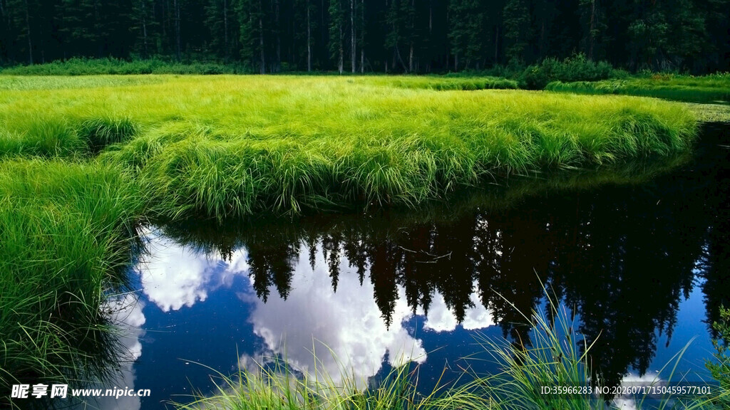 湖畔绿野自然静谧之景
