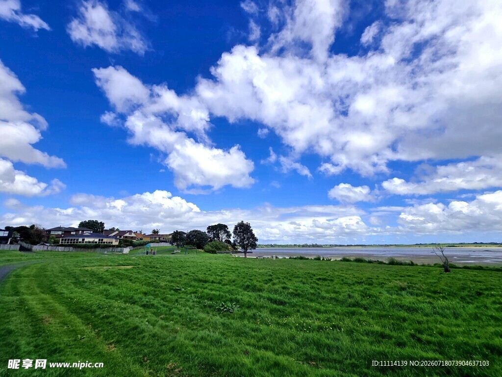 海滨广袤绿野与蓝天白云美景