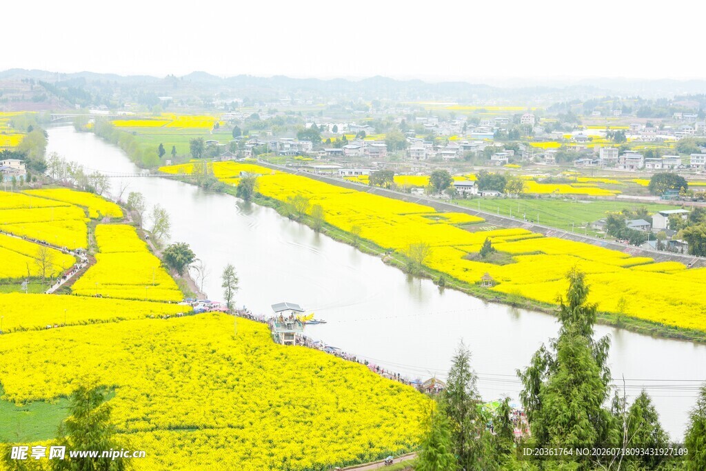 春日河畔油菜花田美景