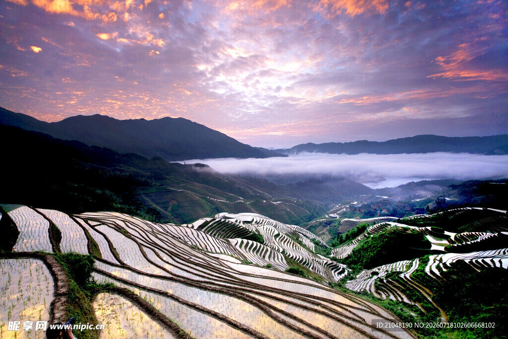 壮丽梯田日出美景
