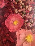 花卉墙花墙