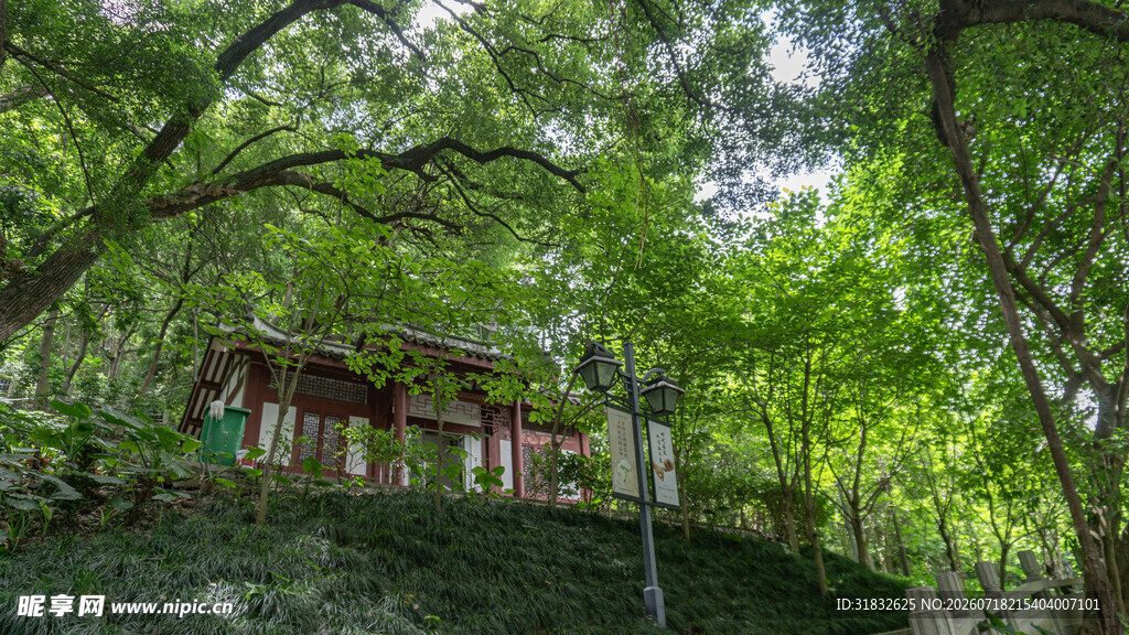 山林中的静谧小屋