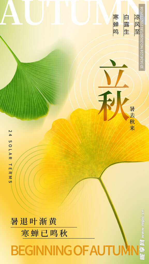 立秋时节银杏叶的诗意画面