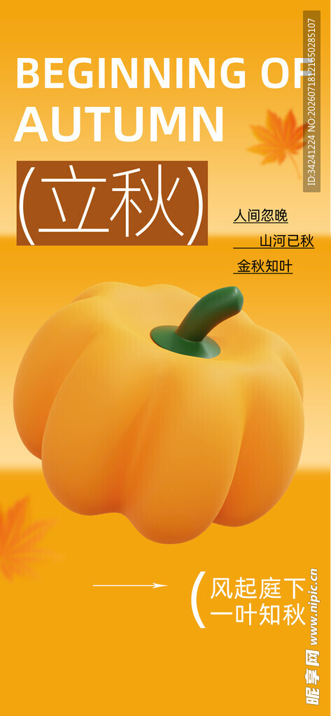 立秋时节的可爱南瓜