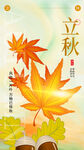 立秋时节枫叶与书卷之景