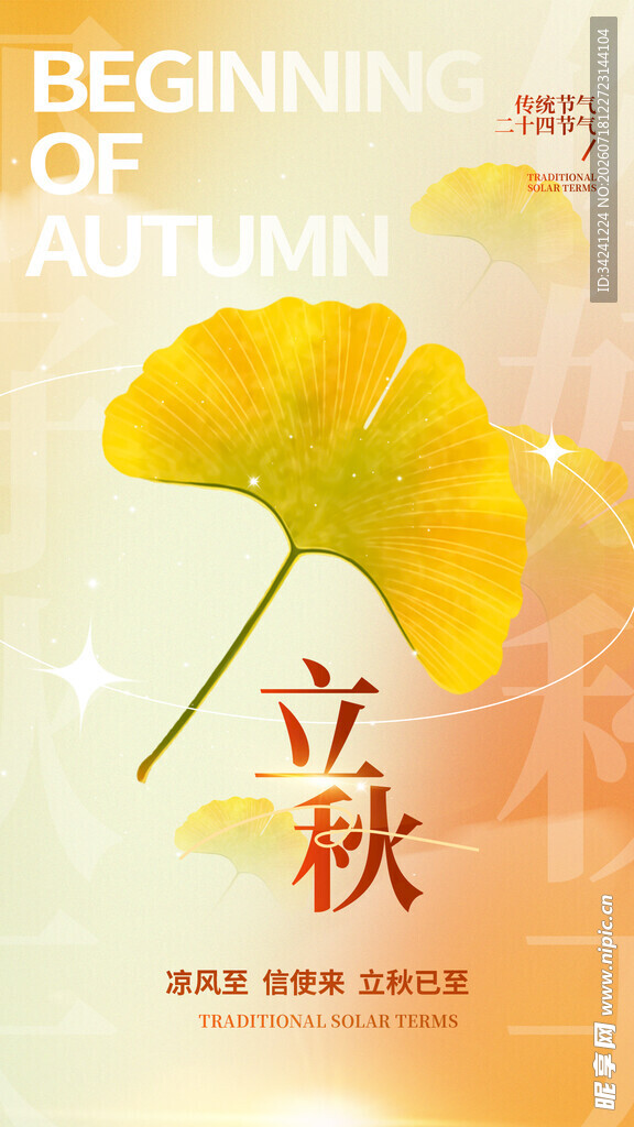 立秋时节银杏叶的诗意画面