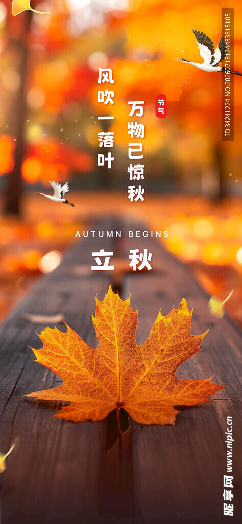 立秋时节节气海报
