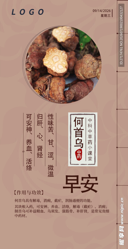 中医中药问早 早安 何首乌