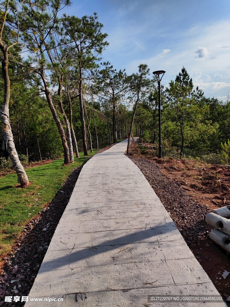 林间石板步道 自然景致