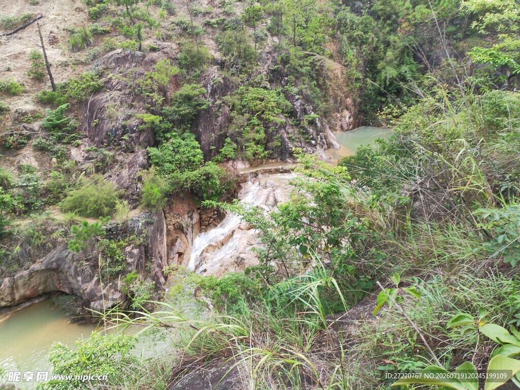 山间溪流穿林而过