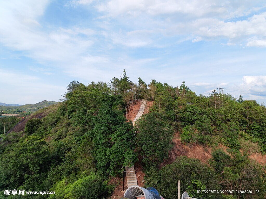 山间蜿蜒小路与葱郁植被