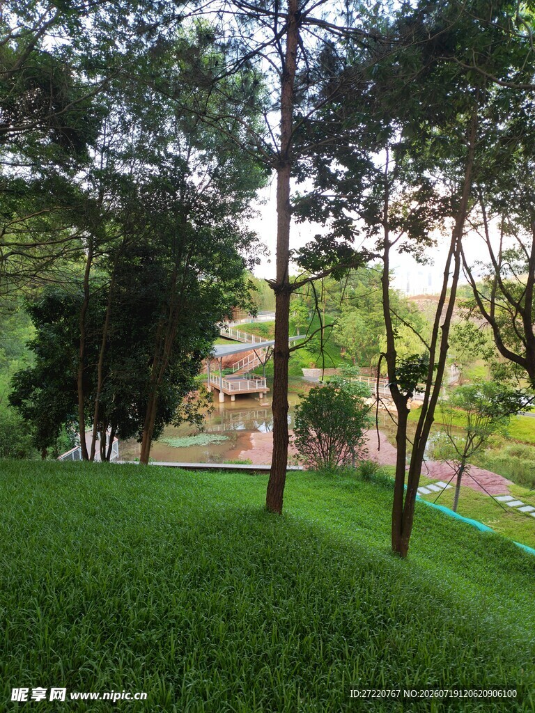 绿意盎然的公园景观