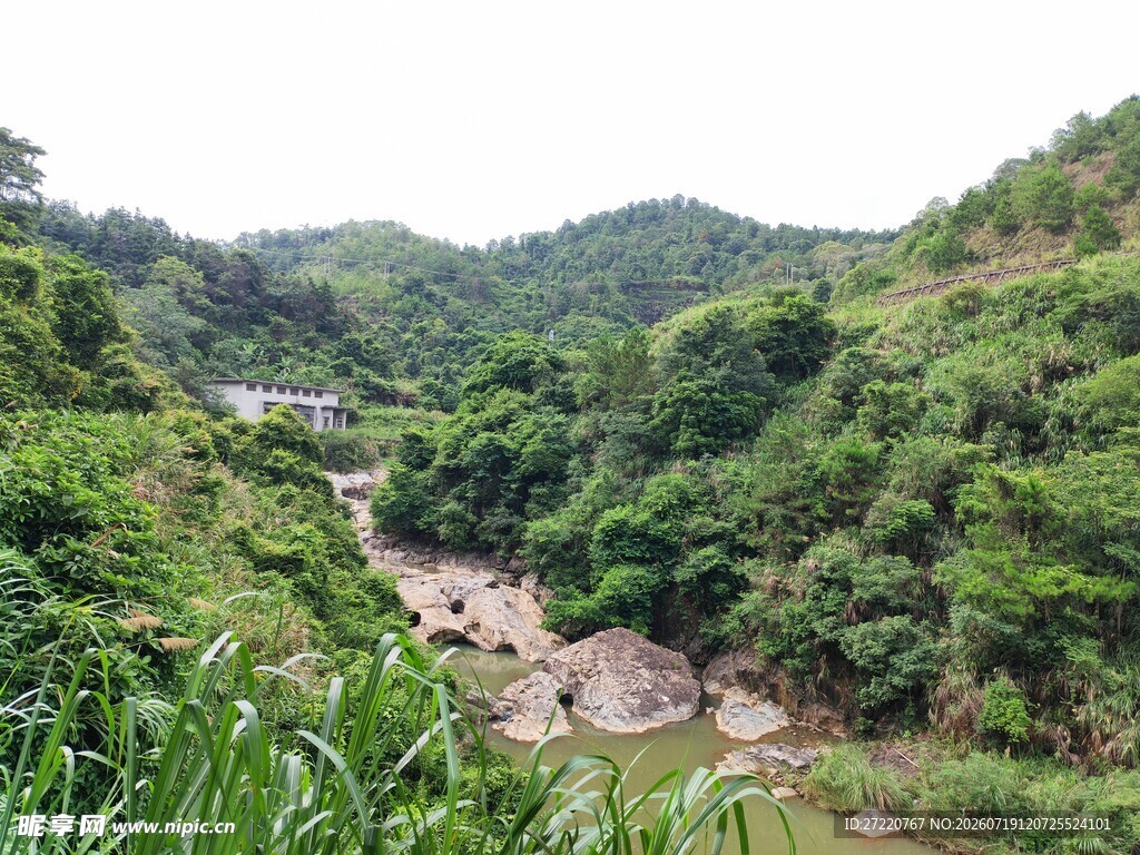 山间溪流穿林而过