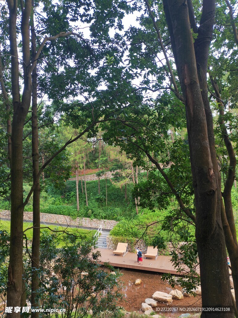 林间静谧小径景观
