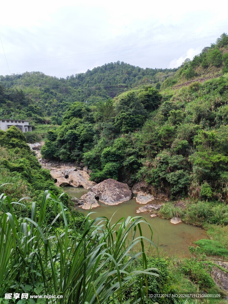 山间溪流旁的葱郁景致