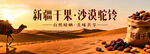 新疆干果