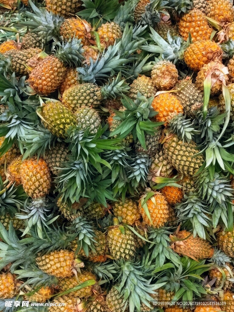一堆新鲜菠萝待售