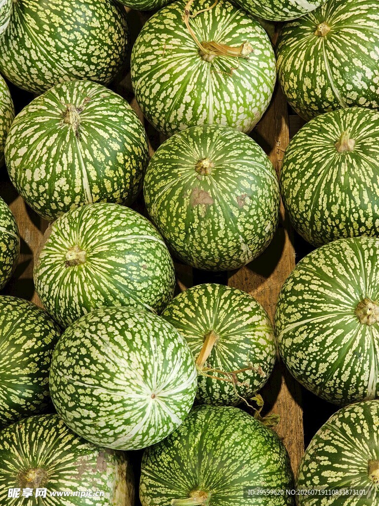 堆叠的绿色带纹南瓜