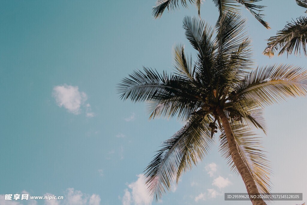  夏日海滨风情