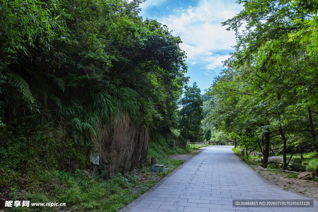 雁荡山林间幽静小路