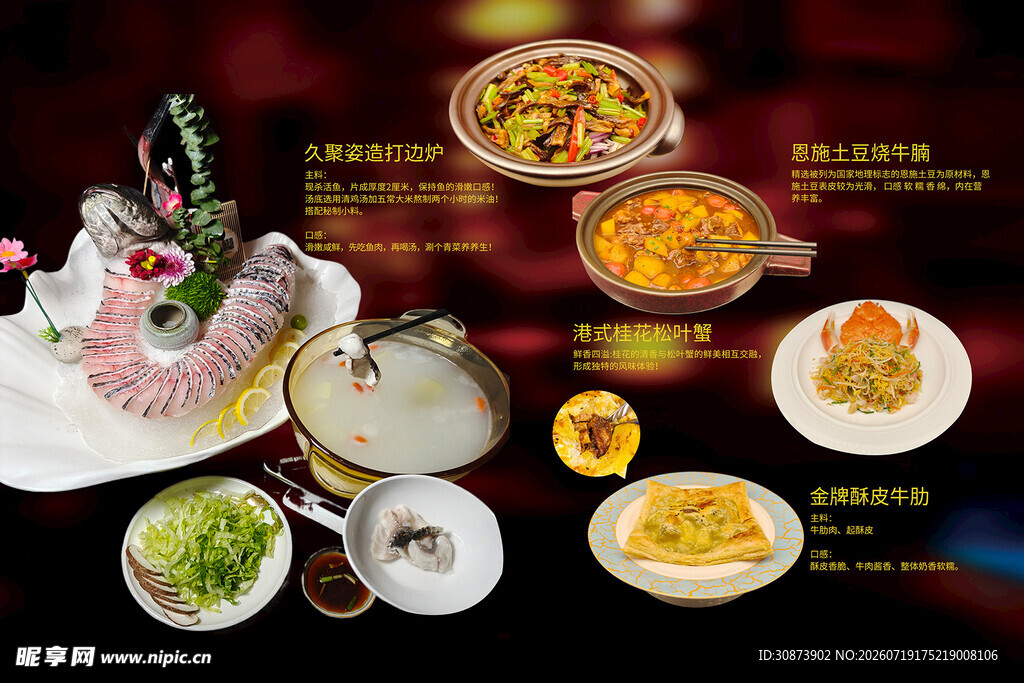 多样中式菜肴美食展示