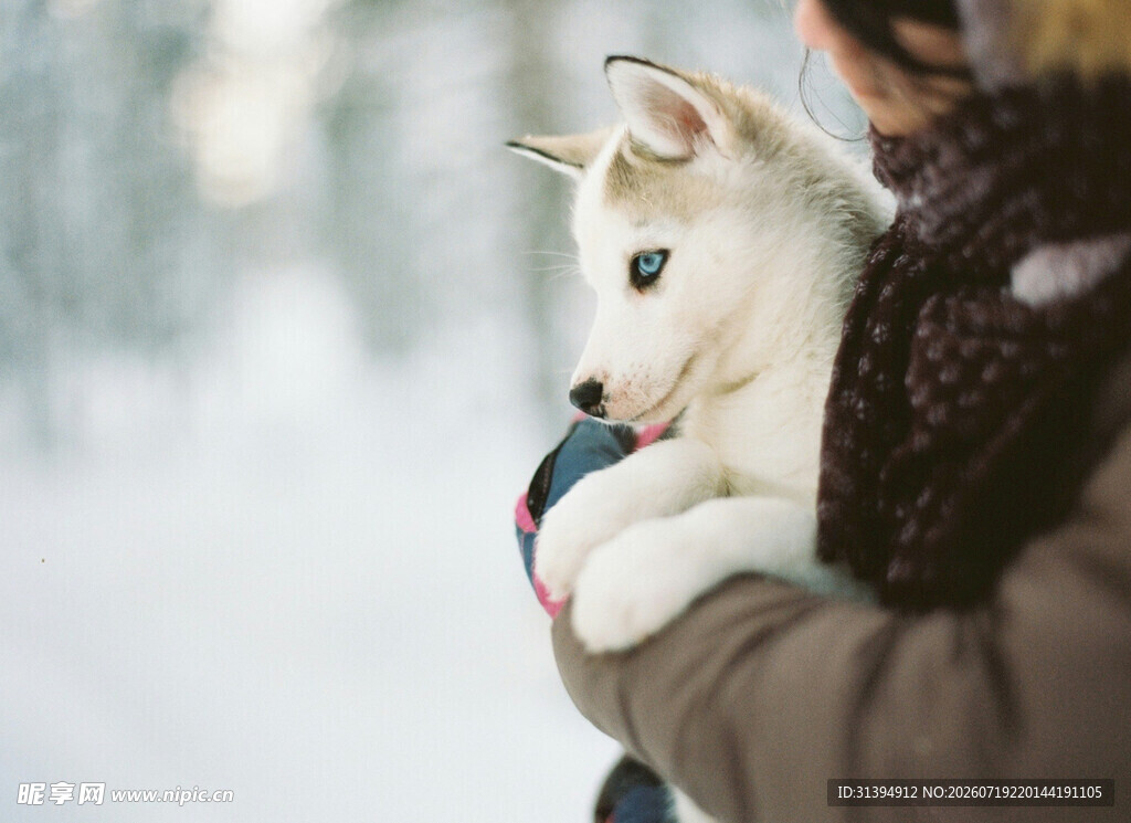 雪地中怀抱萌犬的温暖瞬间