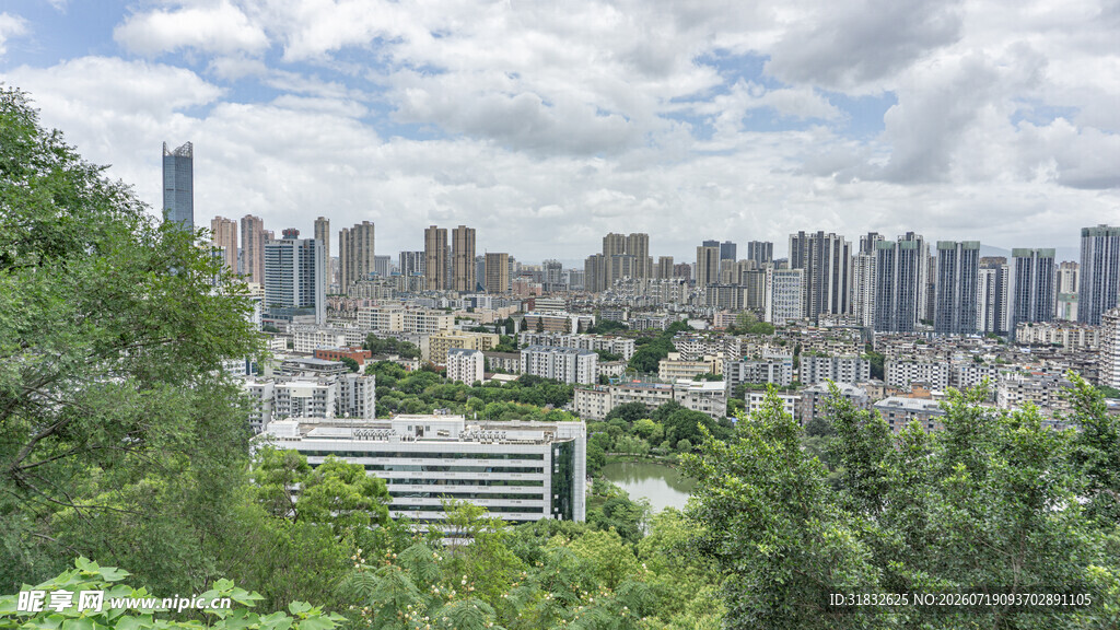 城市天际线与葱郁树林