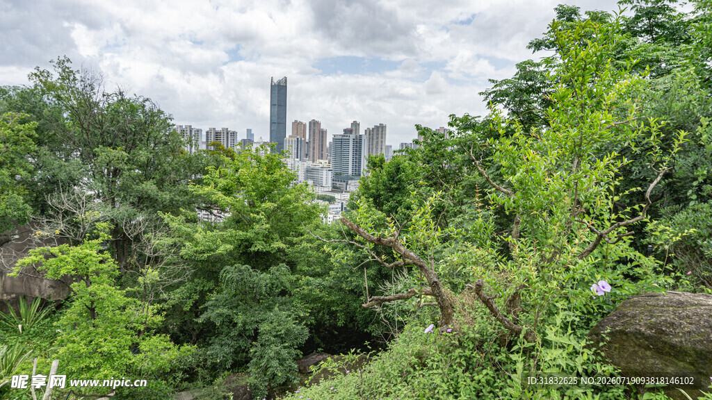 城市丛林间的绿意景观