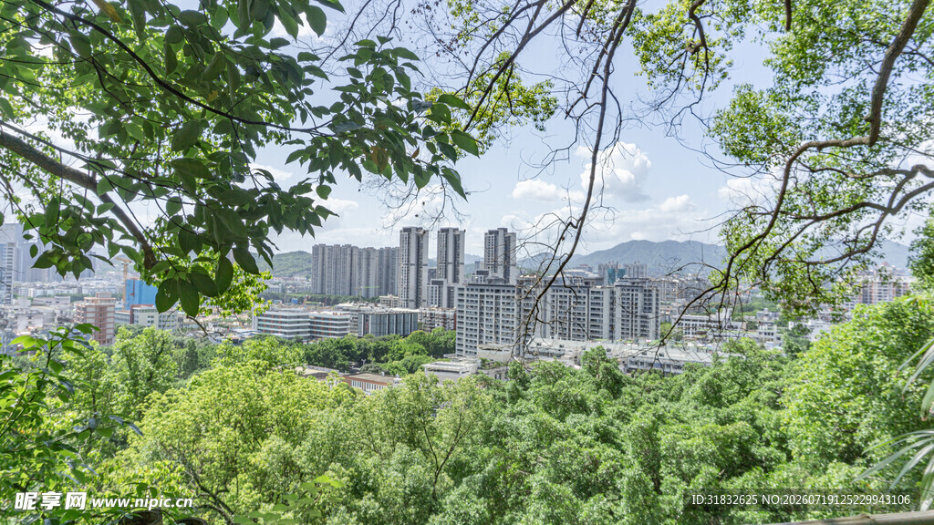绿树掩映下的城市天际线
