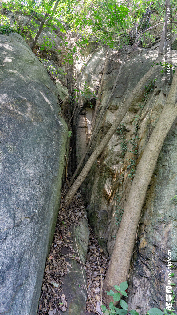 岩石缝隙中的自然景象
