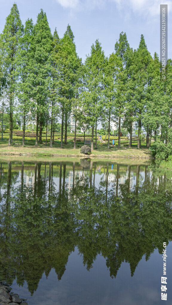 湖畔绿树倒影自然美景
